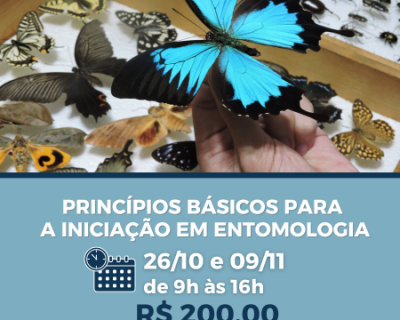 PRINCÍPIOS BÁSICOS PARA A INICIAÇÃO EM ENTOMOLOGIA